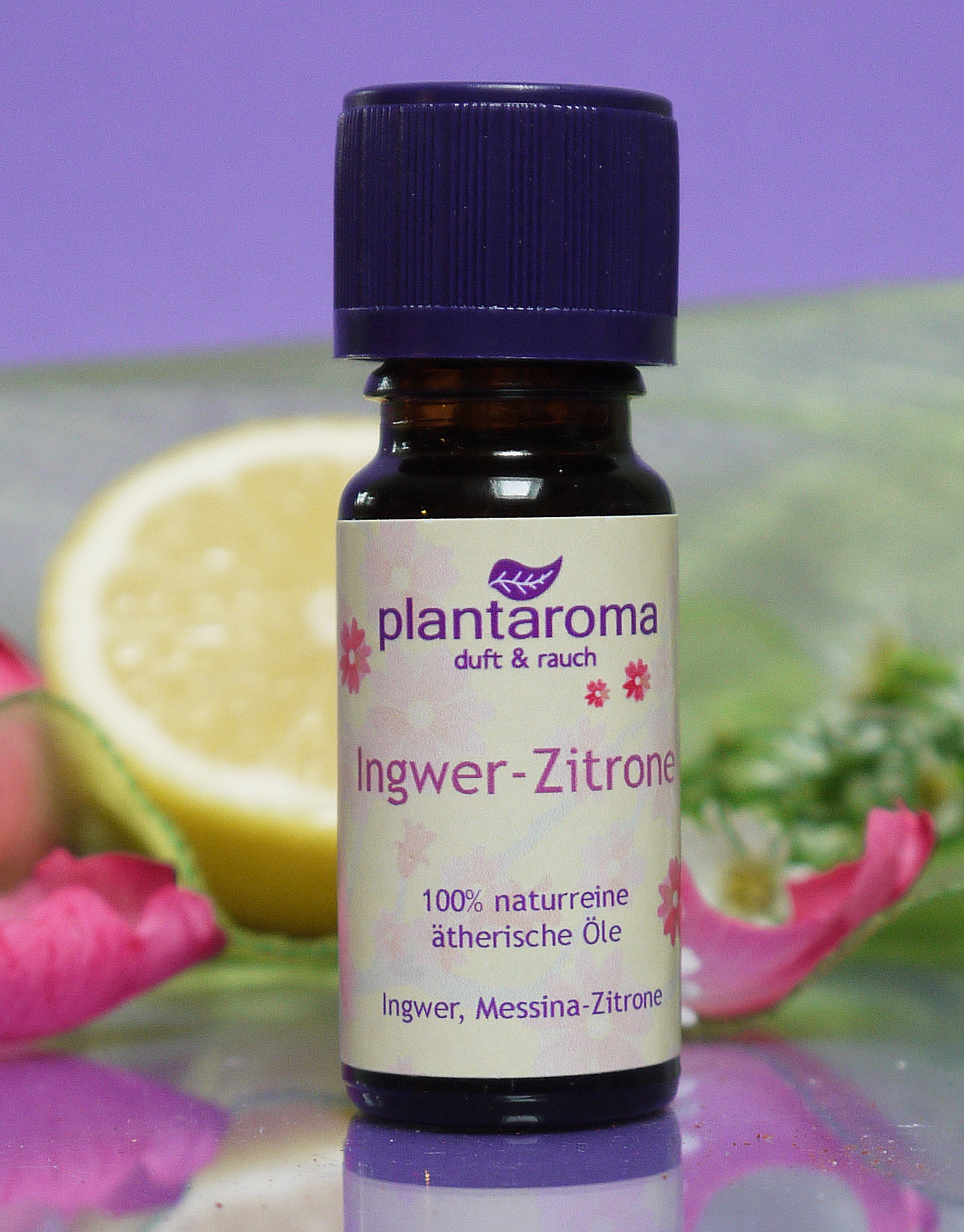 Ingwer-Zitrone, Lieblingsmischung, 100 % naturreine ätherische Öle