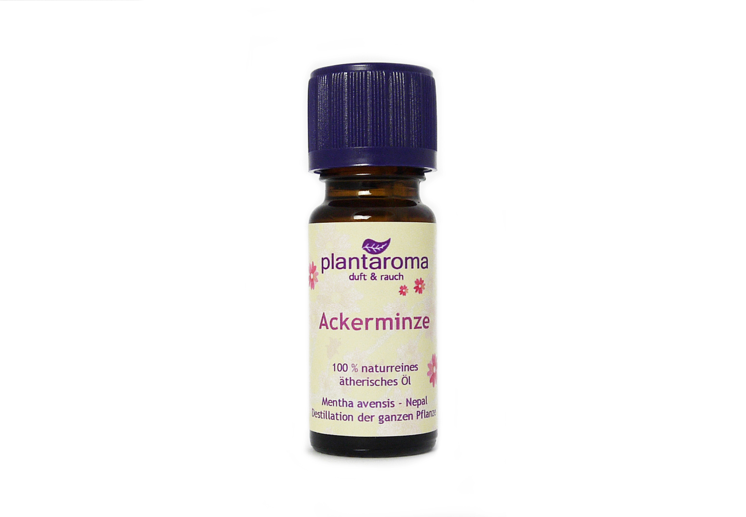 Ackerminze, 100 % naturreines ätherisches Öl