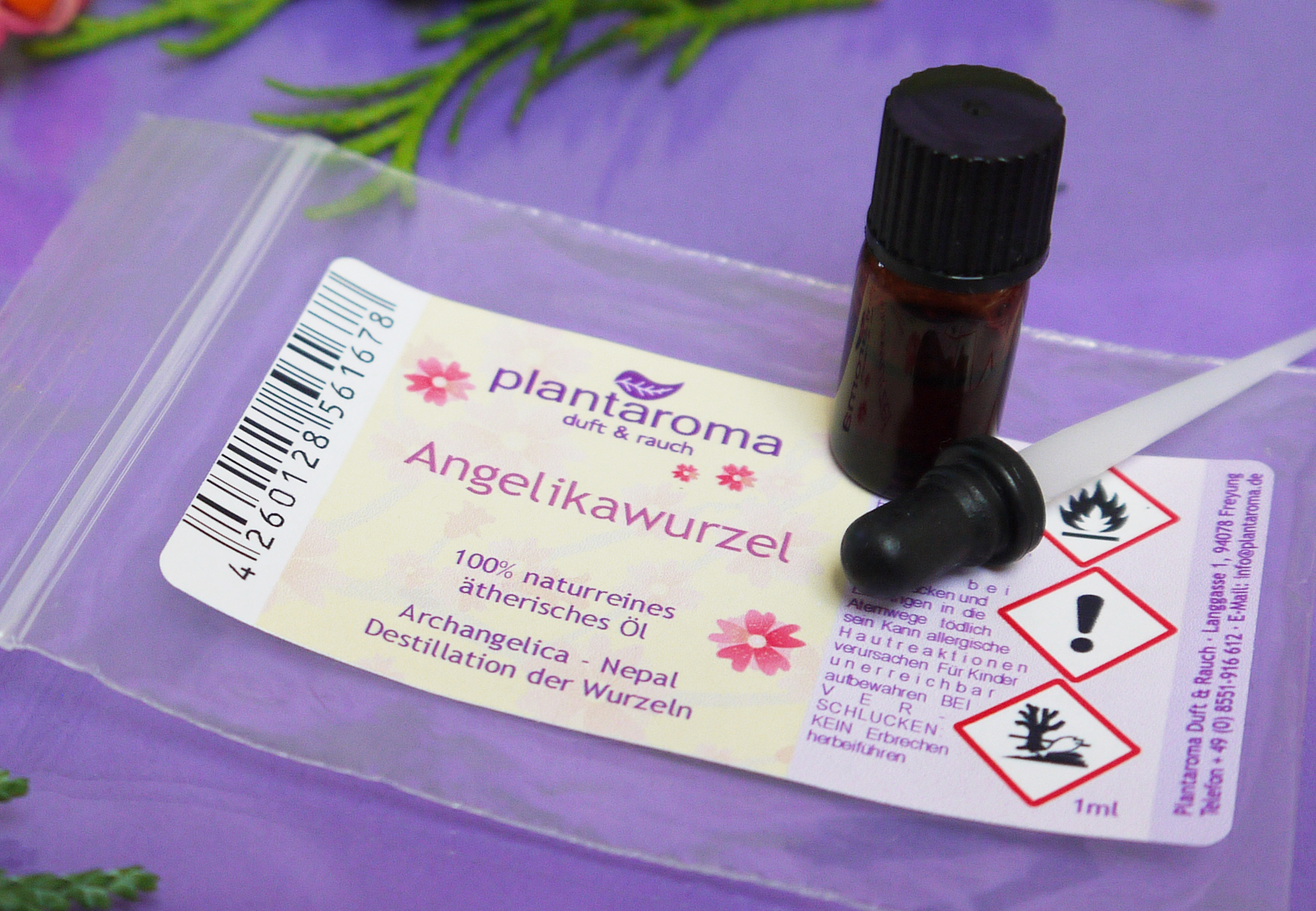 Angelikawurzel, 100 % naturreines ätherisches Öl