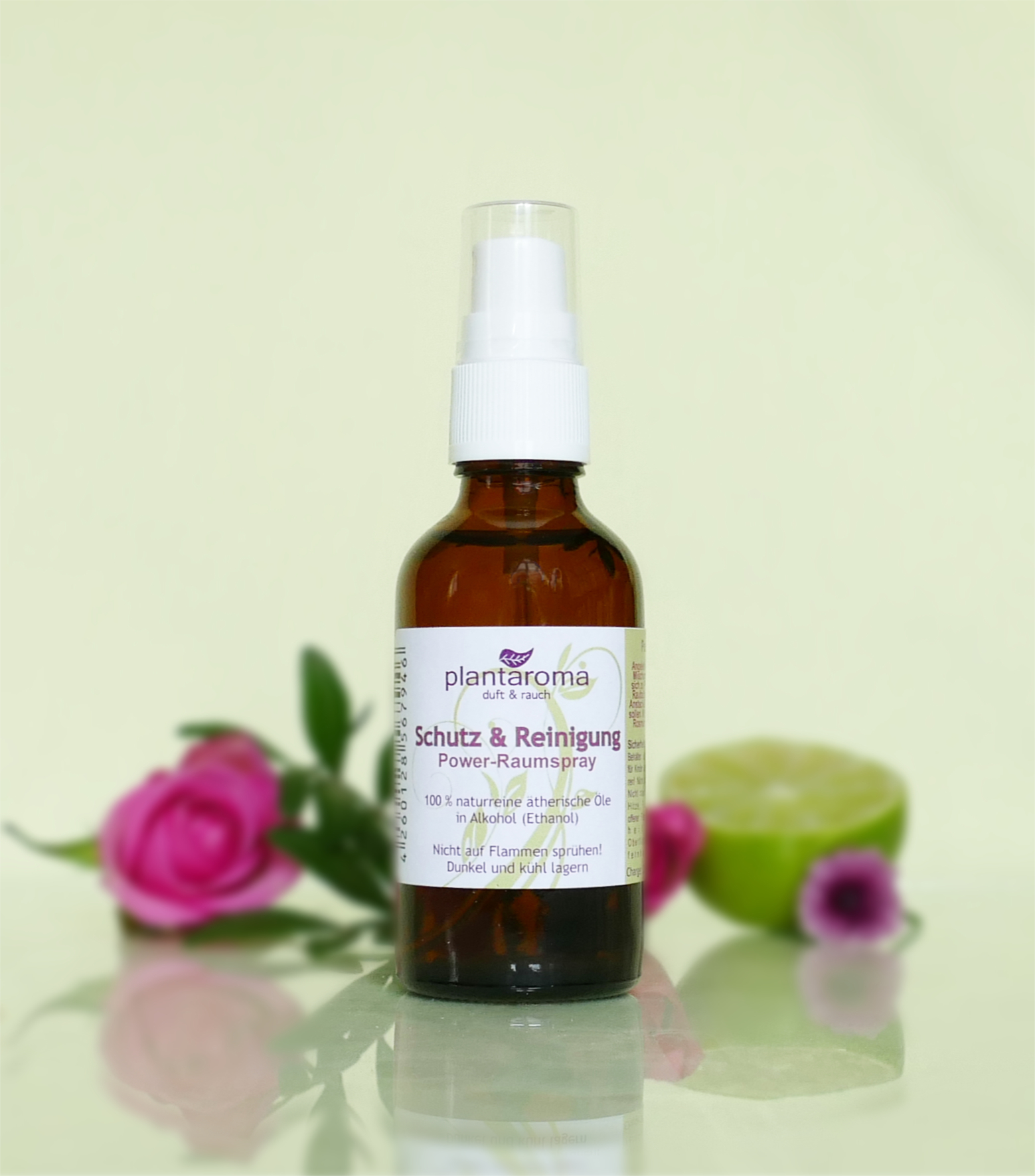 Schutz & Reinigung, Power-Raumspray