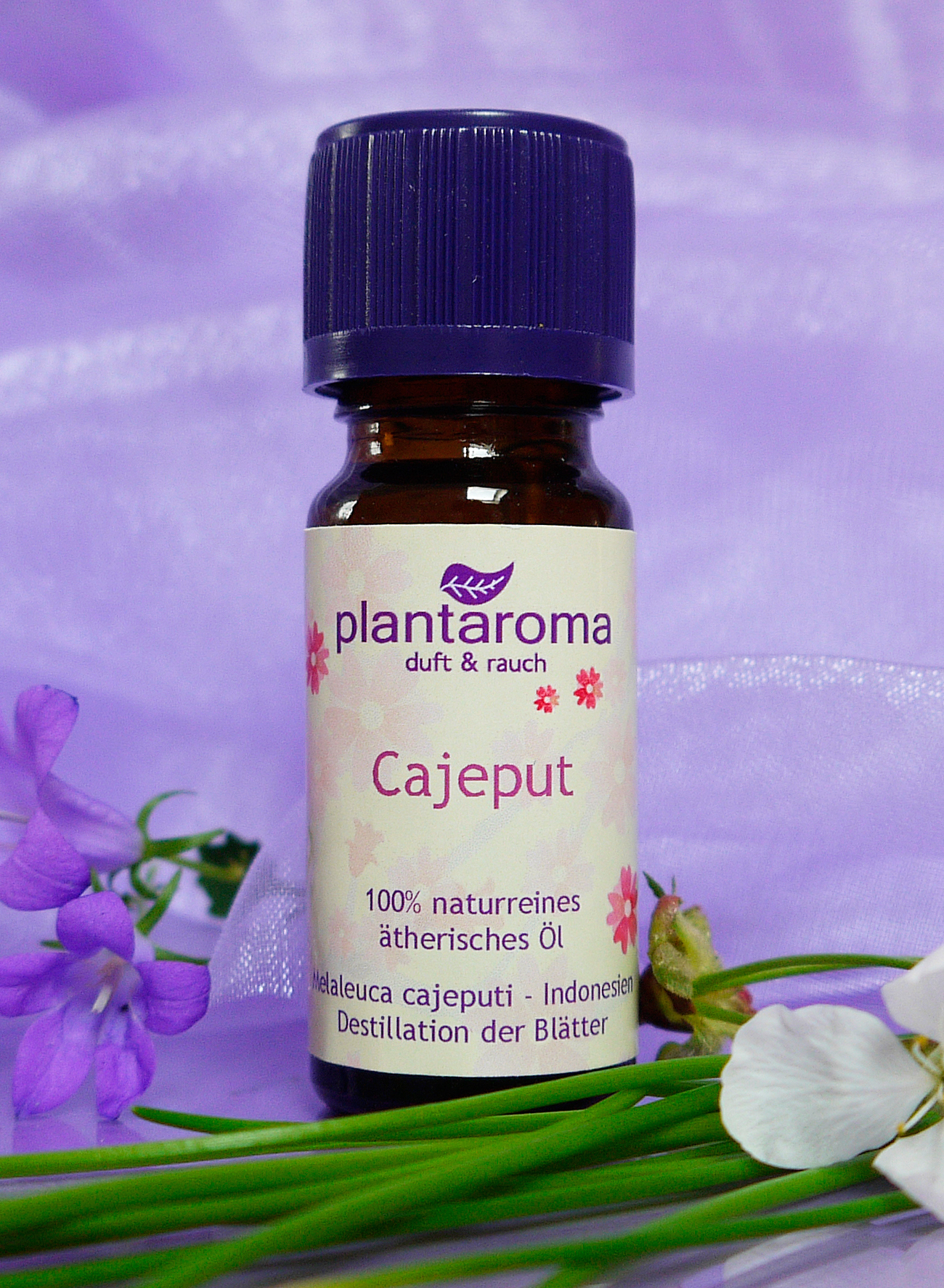 Cajeput, 100 % naturreines ätherisches Öl