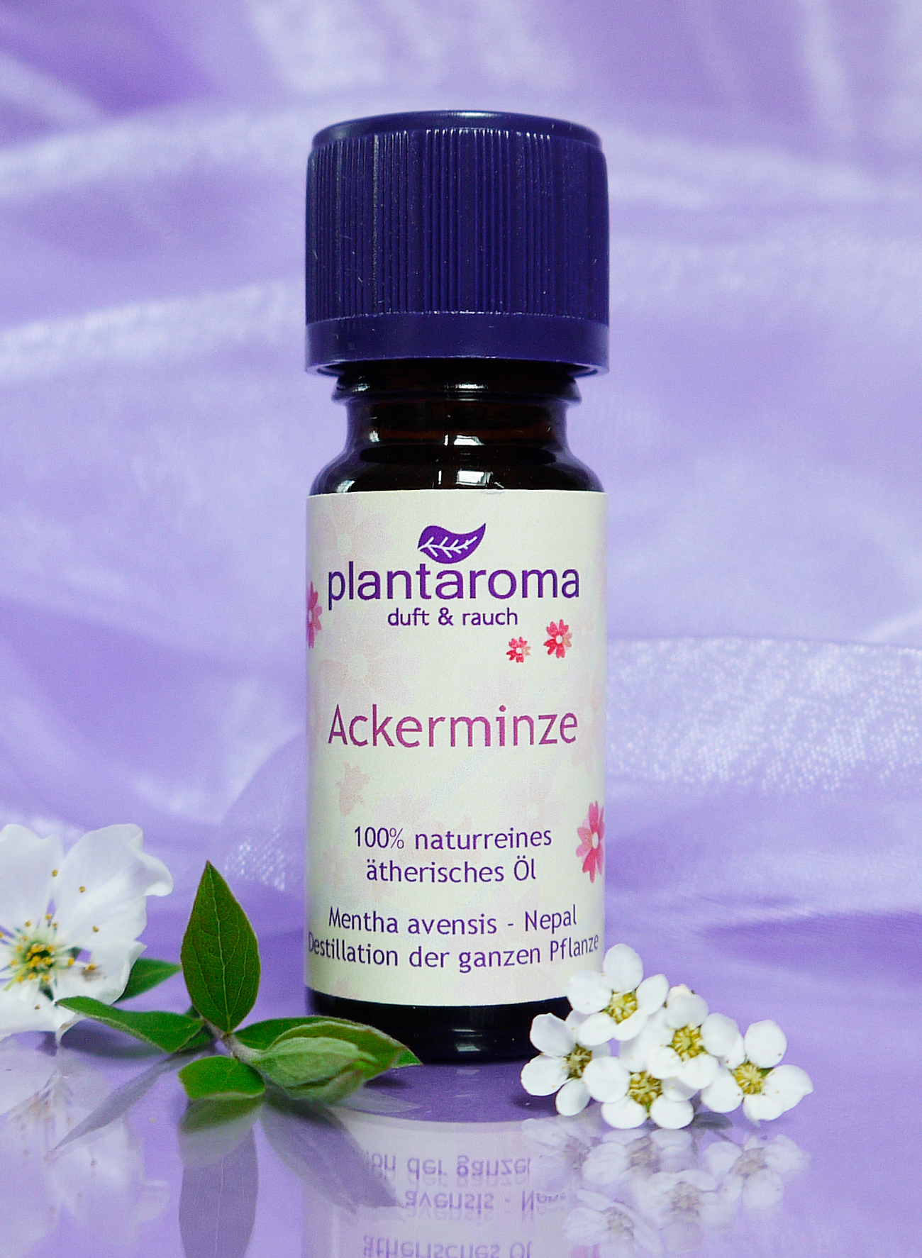 Ackerminze, 100 % naturreines ätherisches Öl