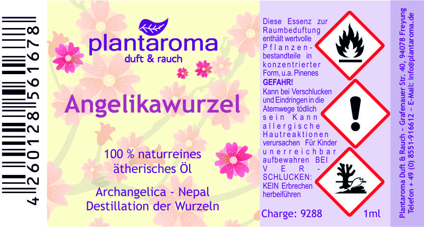 Angelikawurzel, 100 % naturreines ätherisches Öl