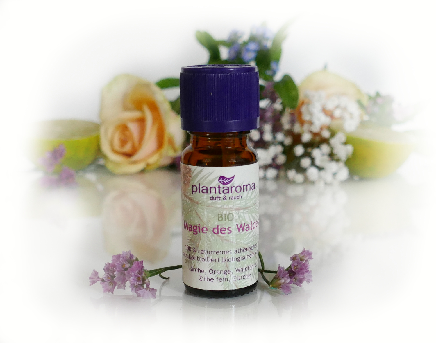 Magie des Waldes Bio