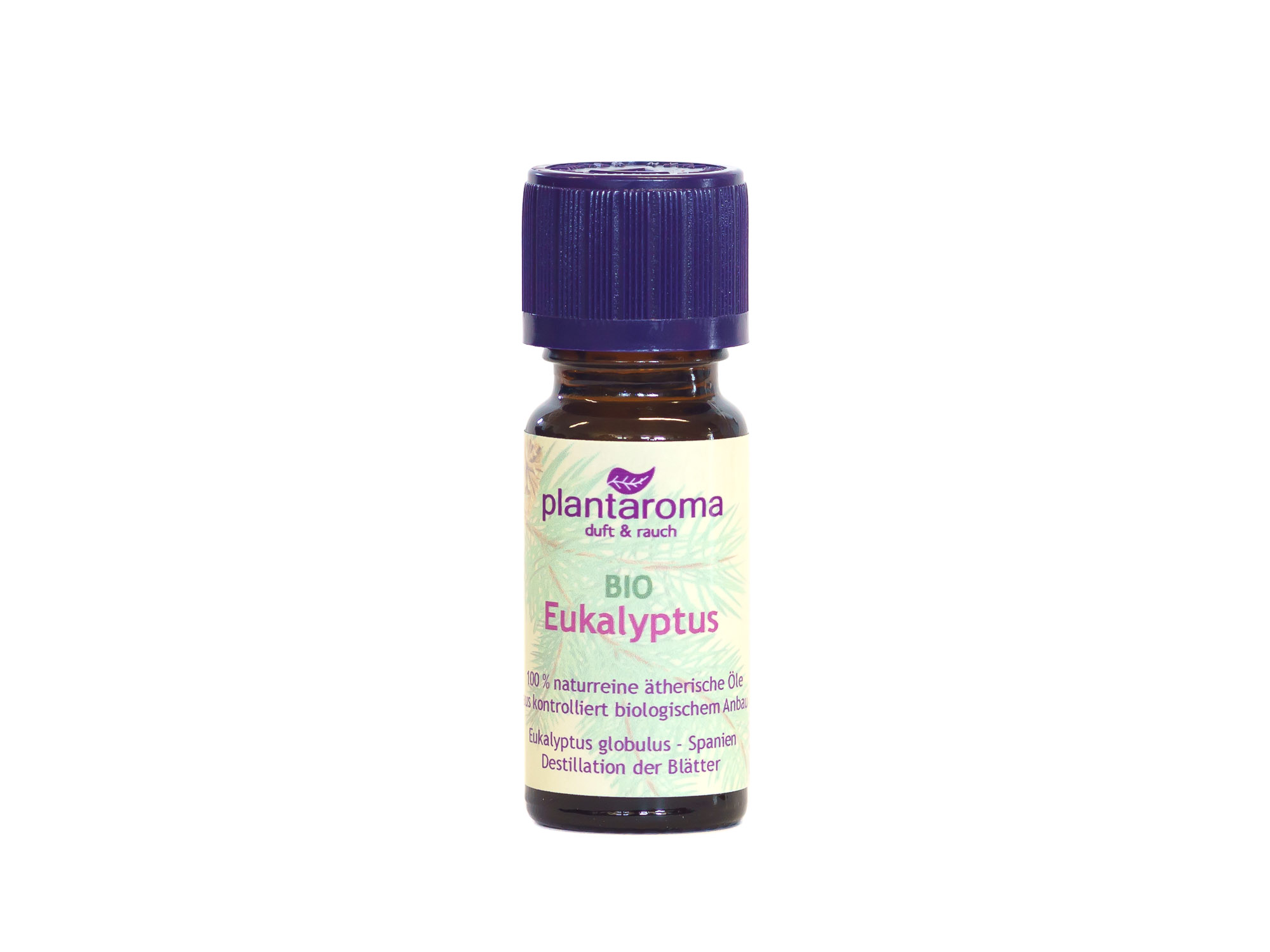 Eukalyptus BIO, 100 % naturreines ätherisches Öl