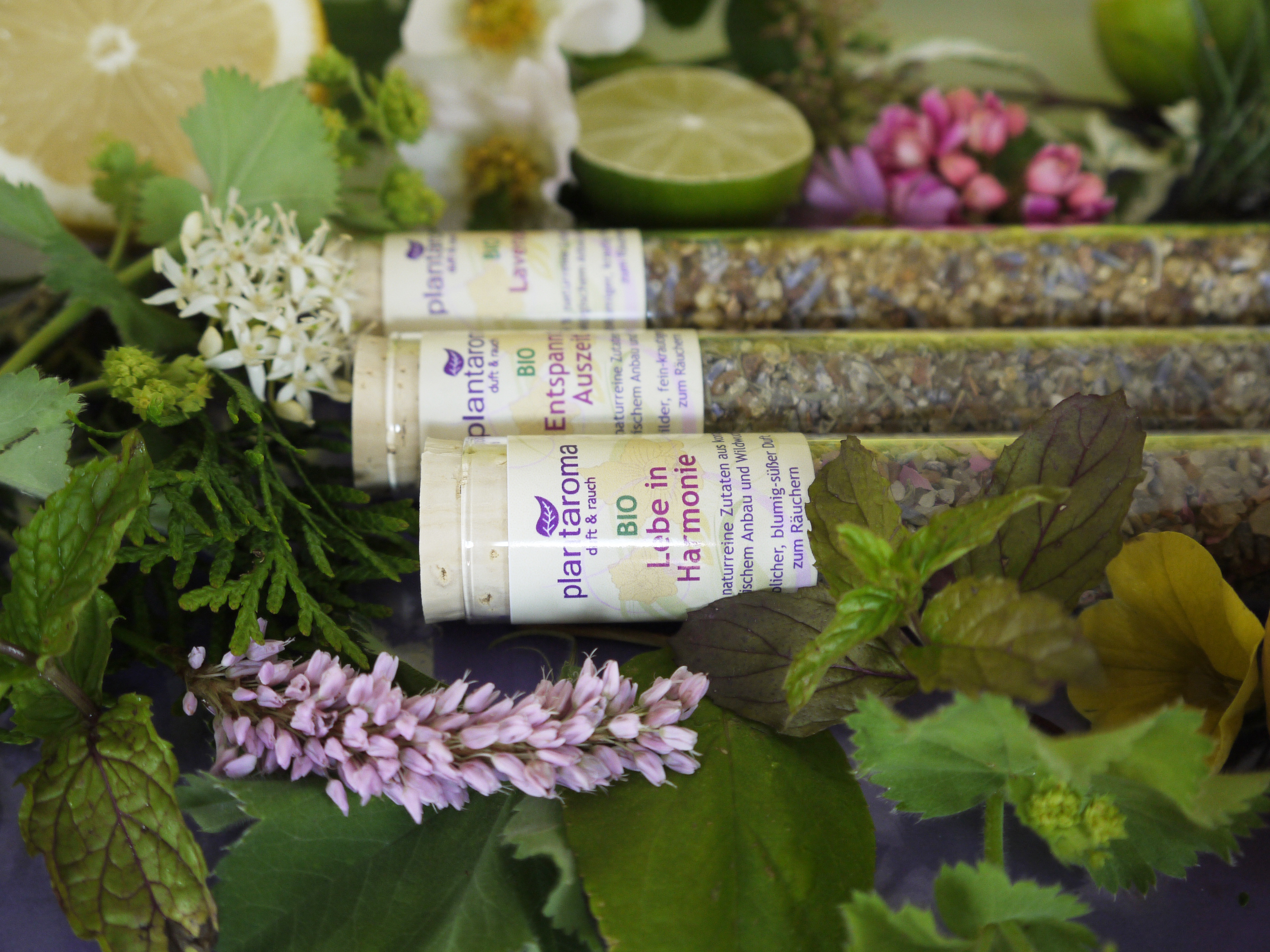 Lebe in Harmonie mit Bio/WW-Zutaten