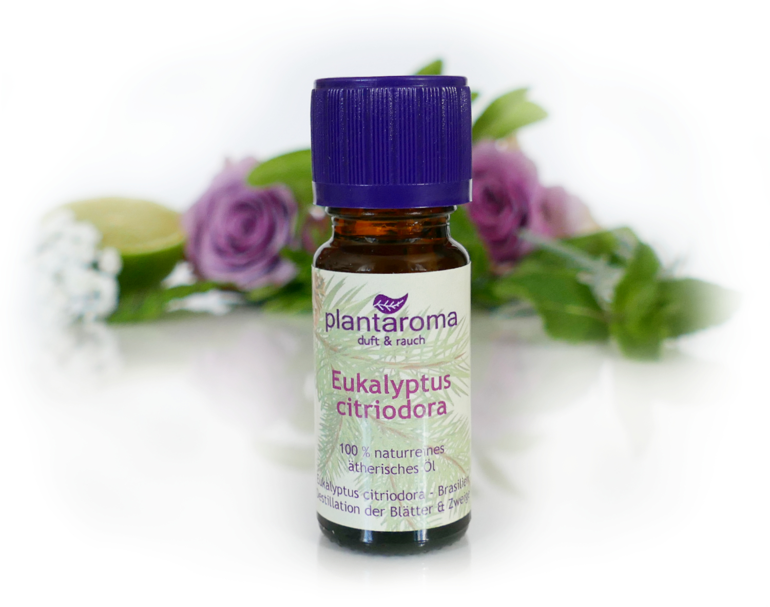 Eukalyptus citriodora, 100 % naturreines ätherisches Öl