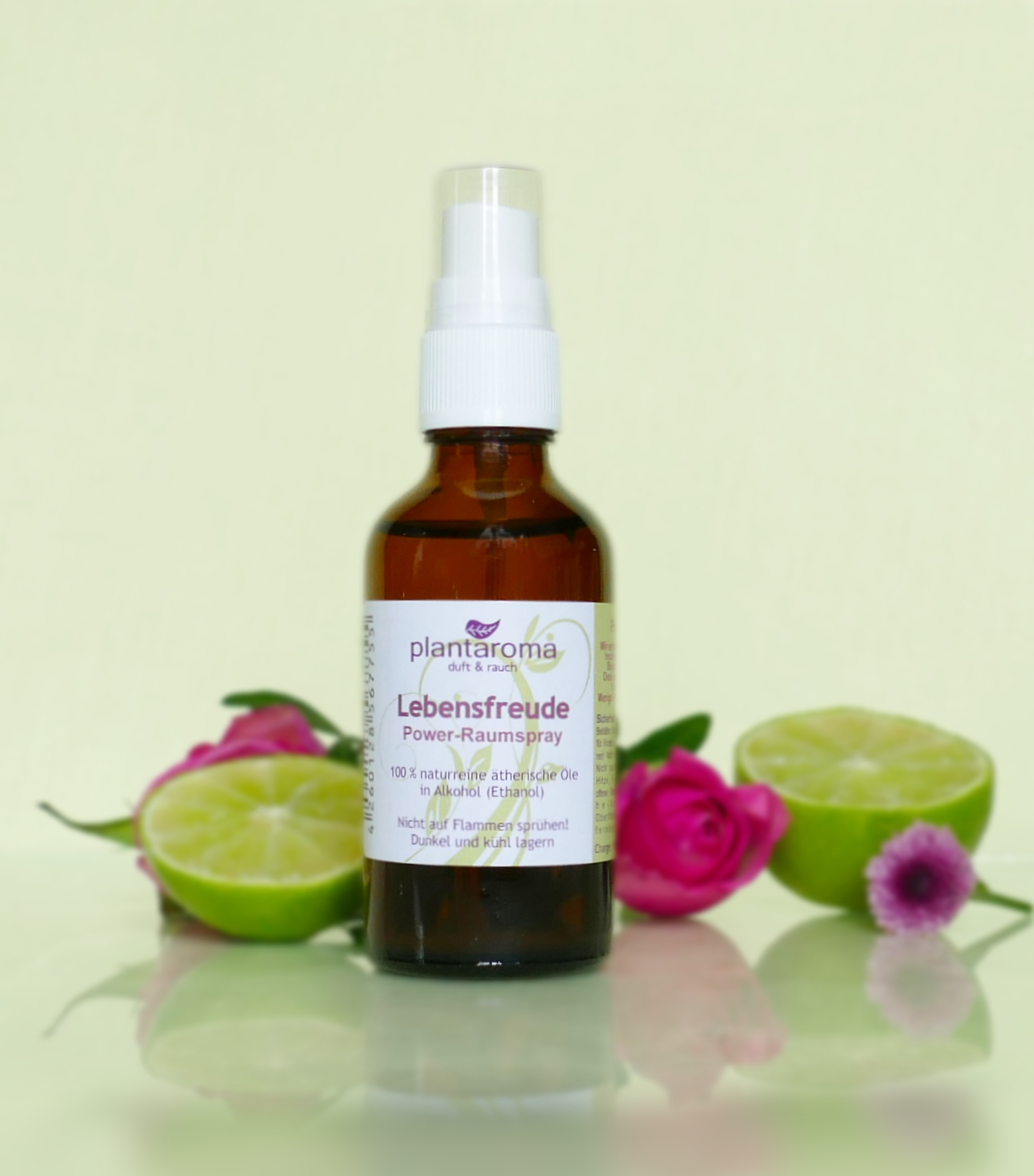 Power-Raumspray Lebensfreude