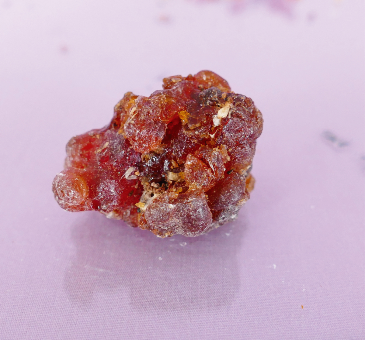 Kua Myrrhe, Edle Sorten